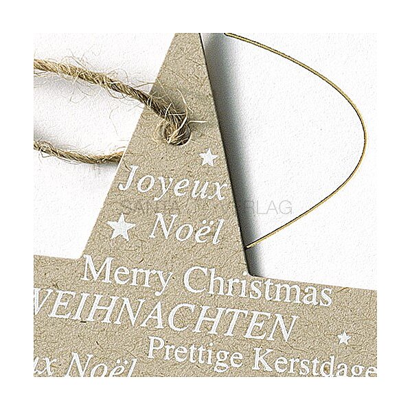 Bild 2 - Sternenschweif (internationale Weihnachtsgr��e)