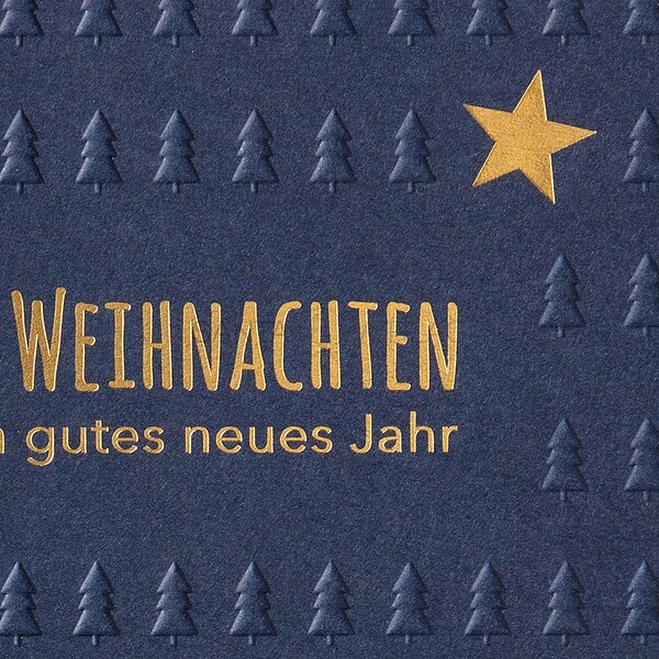 Bild 2 - Logokarte (Spendenweihnachtskarte Deutsche Herzstiftung)