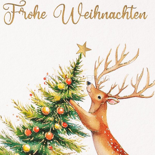 Bild 2 - Ups! (internationale Weihnachtskarten)