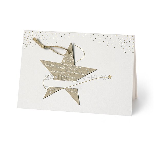 Bild 1 - Sternenschweif (internationale Weihnachtsgr��e)