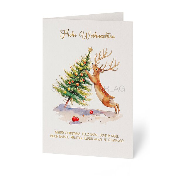 Bild 1 - Ups! (internationale Weihnachtskarten)